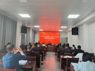 通城县大坪乡召开农村集体 “三资” 合同问题整改业务培训会