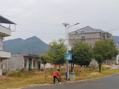 通城县四庄乡：党建引领聚合力 环境整治展新颜