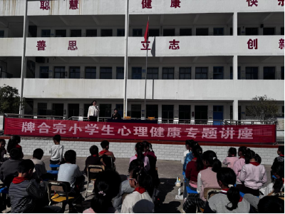 通城县石南镇牌合完小开展心理健康讲座活动