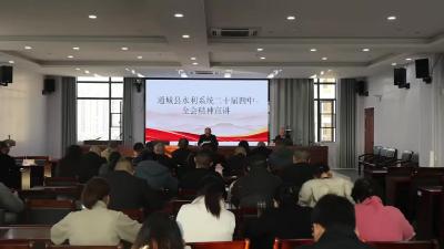 视频-通城县水利和湖泊局举行学习贯彻党的二十届四中全会精神宣讲团报告会