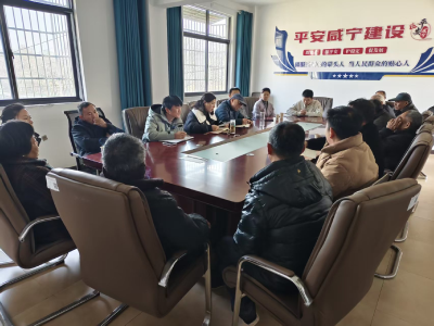 通城县塘湖镇狮子村：凝聚多方合力 共绘发展蓝图