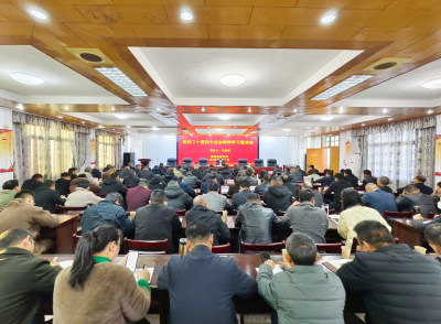 通城县领导在教育系统宣讲党的二十届四中全会精神