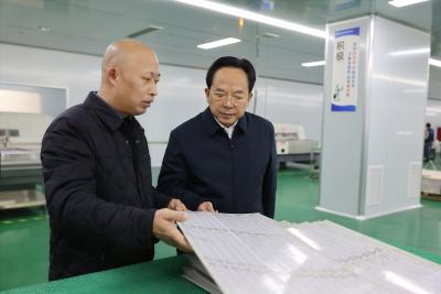 黄建平到石南高新技术产业示范园调研重点企业
