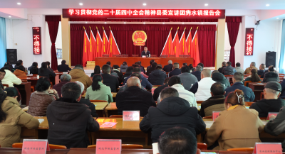 杨奇到隽水镇宣讲党的二十届四中全会精神