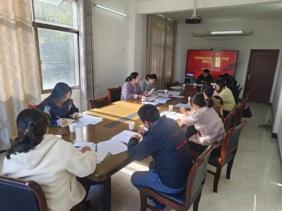 通城县石南镇召开专项会议：聚焦移风易俗与婚恋服务，赋能镇域发展