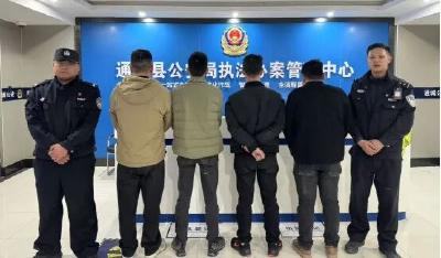 赌局刚开1小时就被端！通城公安快速查处一起赌博案