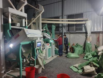 通城县北港镇沉山村：烘干车间赶工忙 长粒香米俏市场