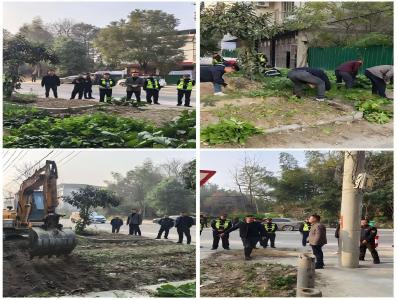 通城县大坪乡：党建引领齐发力 环境整治出实招