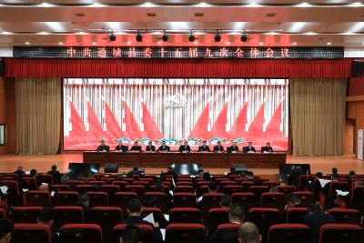 中共通城县委十五届九次全体会议举行 加快打造全国云母电子材料产业集聚区 奋力谱写中国式现代化通城篇章