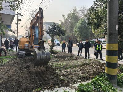 通城县大坪乡：党建引领聚合力 精细治理焕新颜