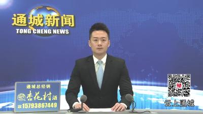 视频-黄建平调研全域公交项目建设工作