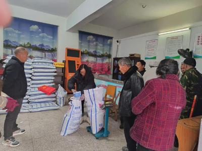 通城县北港镇：免费肥料送到手 油菜种植添底气