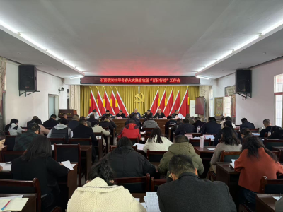 通城县石南镇：紧绷安全之弦 筑牢发展之基