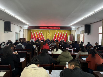 通城县石南镇2026征兵工作全面铺开 初检账号助力征兵“加速度”