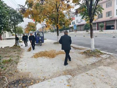 通城县北港镇开展“清洁家园”新时代文明实践志愿服务活动