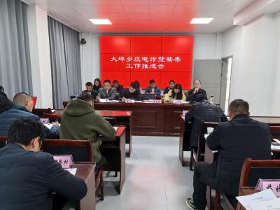 通城县大坪乡：党建领航筑防线 实干淬炼硬脊梁