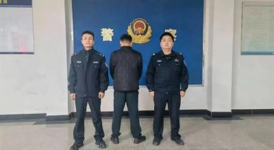 酒后冲动划车泄愤？7日拘留+赔偿！法治社会容不得“一时上头”