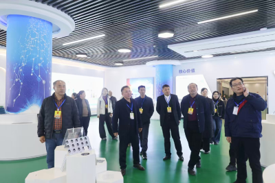 通城县石南镇开展2025年县十九届人大代表集中视察、回访原选区暨履职报告活动