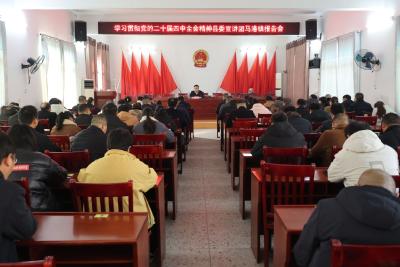 通城县领导到马港镇及重点企业宣讲党的二十届四中全会精神