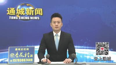 视频-通城：云母电子材料产业集群成长记