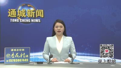 视频-通城县石南镇举行学习贯彻党的二十届四中全会精神专题报告会