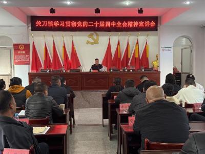 通城县关刀镇宣讲团开展学习贯彻党的二十届四中全会精神宣讲