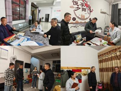 通城县塘湖镇开展驻村工作队在岗履职专项督导