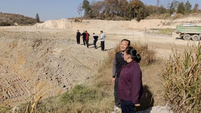 通城县石南镇樊店村：协调推进项目，及时修路便民