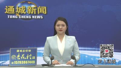 视频-咸宁市六届人大代表（通城代表团）开展集中视察回访活动 