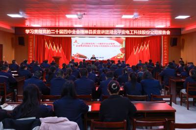 黄建平到湖北平安电工宣讲党的二十届四中全会精神并调研重点企业发展情况