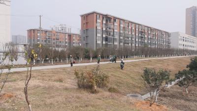 通城县园林绿化服务中心开展冬季施肥护绿行动