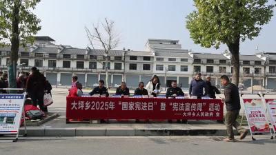 视频-通城县大坪乡开展2025年国家宪法日暨宪法宣传周活动