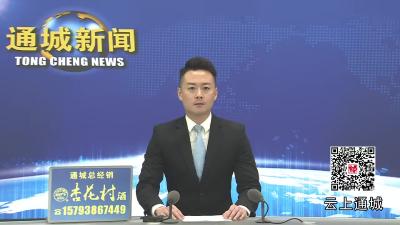 视频-通城县领导到湖北福人药业股份有限公司宣讲党的二十届四中全会精神
