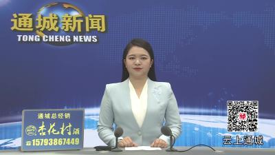 视频-新闻发布会开在基层 通城“综治答卷”现场揭晓 