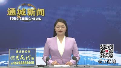 视频-通城县召开上海通城商会返乡考察座谈会 