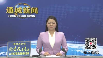 视频-通城县冬春火灾防控工作动员会暨县安委会2025年第四次全体会议召开 