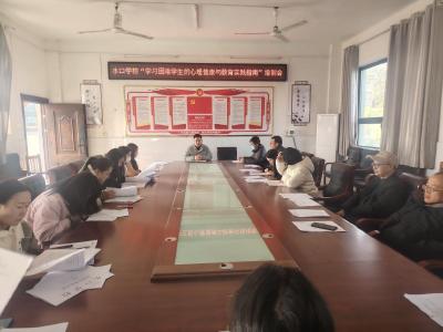 通城县大坪乡水口学校开展心理健康与教育实践培训会