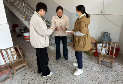 通城县石南镇开展移风易俗工作入户宣传工作