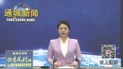 视频-十五届通城县委第十二轮巡察反馈全部完成