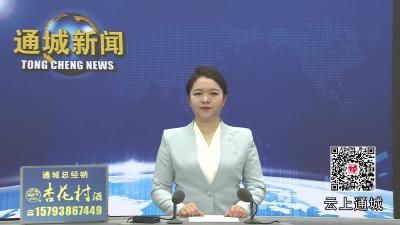 视频-【政府工作报告解读⑤】通城：深化改革优环境 厚植沃土促发展