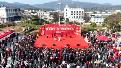 鄂湘边韵浓 新春赶集热 首届鄂湘边镇农文大集通城马港专场活动热闹启幕 万余名游客共享盛会