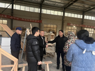 通城县塘湖镇平安建设办开展重点场所安全专项检查