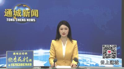 视频-【政府工作报告解读①】通城云母电子材料产业集群蓬勃崛起 强势挺进“国家队”