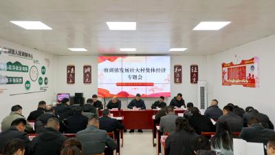 通城县塘湖镇召开发展壮大村集体经济工作专题会议