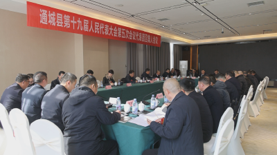 【聚焦两会】通城县第十九届人民代表大会第五次会议召开代表团召集人会议
