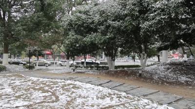 视频-低温雨雪冰冻天气来袭 通城超市供应量足价稳