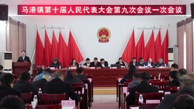 视频-通城县马港镇召开第十届人民代表大会第九次会议