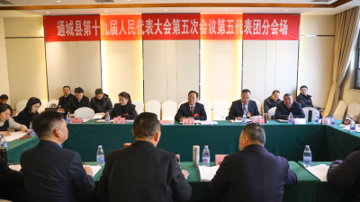 【聚焦两会】黄建平杨修伟等县领导参加县十九届人大五次会议分团讨论
