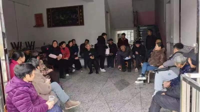 通城县四庄乡：统战赋能聚合力 基层治理添新彩