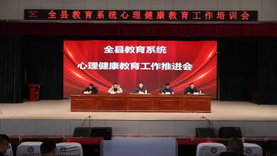 通城县教育系统心理健康教育工作培训会召开